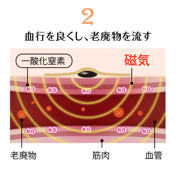 2 血行を良くし、老廃物を流す