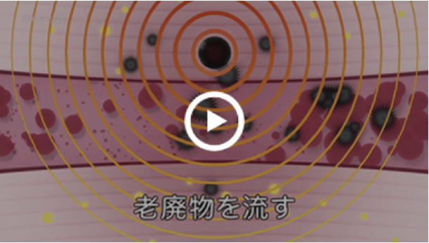 老廃物を流す