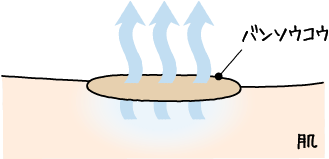 むれにくい