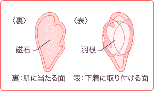 〈裏〉磁石 裏：肌に当たる面〈表〉羽根 表：下着に取り付ける面